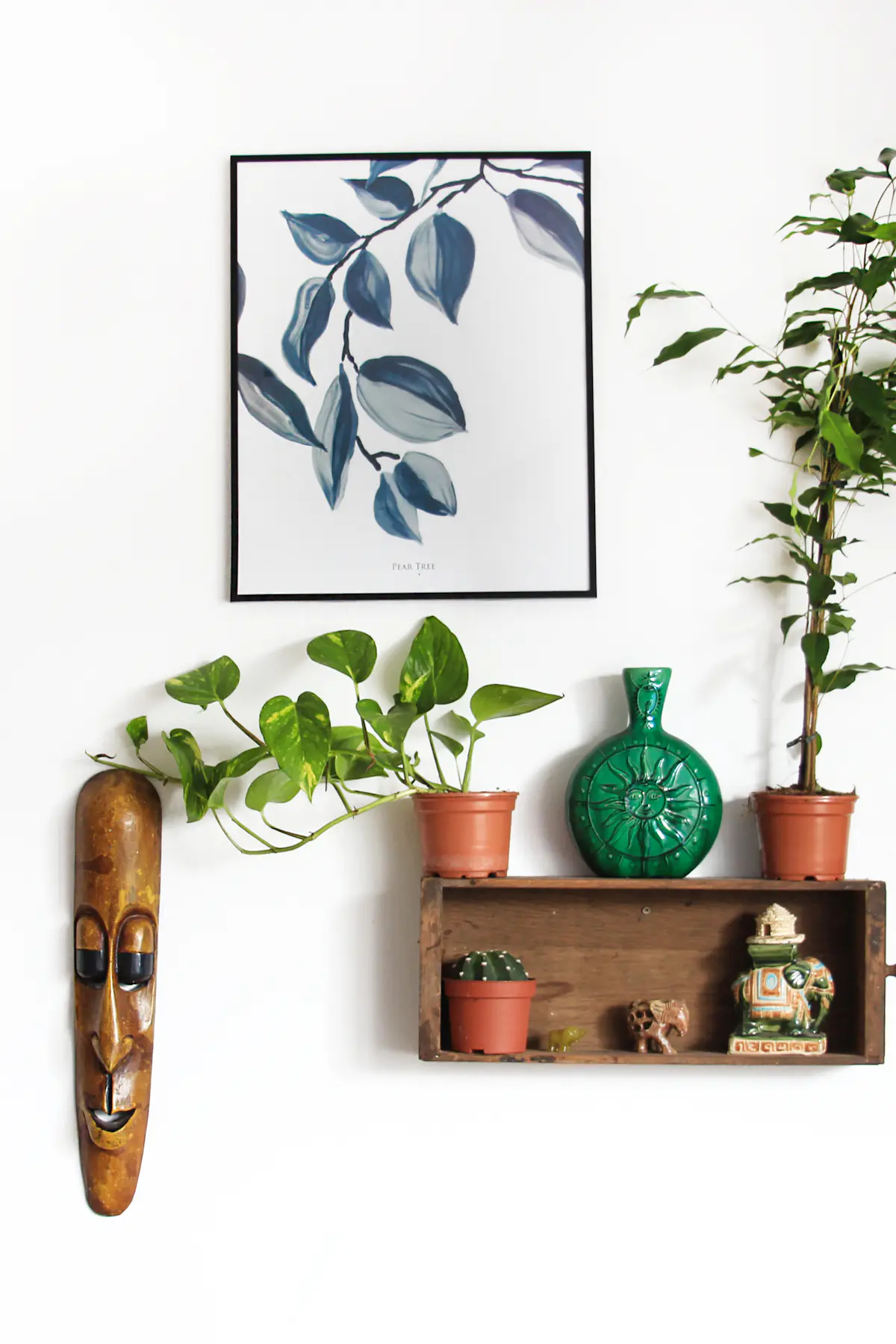 Low maintenance balcony trees quick wins setup with potted tree in ceramic container